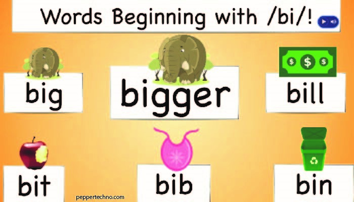 A Dive into Words Starts with Bi