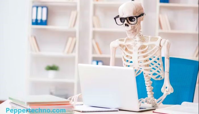 The Secret Life of a Skeleton at a Computer