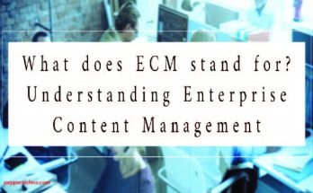 What Does ECM Stand For