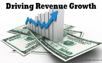 Driving Revenue Growth