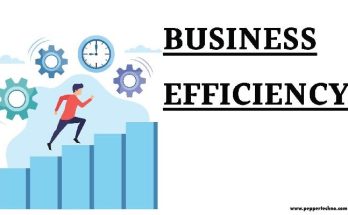 Improving Business Efficiency