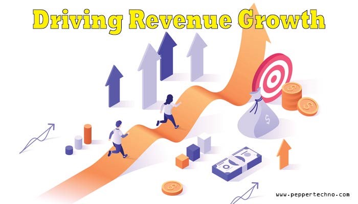 Techniques for Driving Revenue Growth