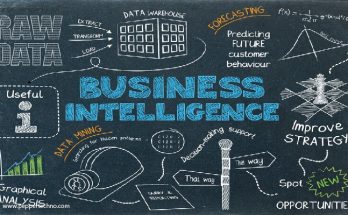 Business Intelligence Teams