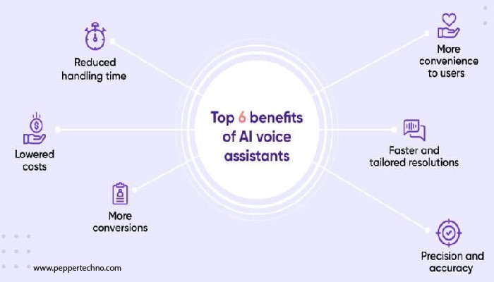 Expansion of Voice Assistant Usage