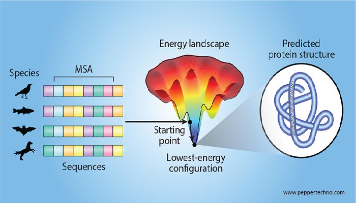 Exploring Dynamic Landscape of Machine Learning through Graph-Based Models