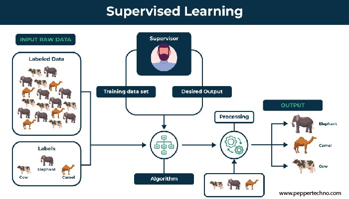 Navigating the Realm of Supervised Learning in Machine Learning