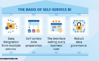 Self Service BI Tools