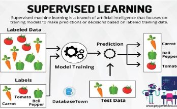 Supervised Learning in Machine Learning