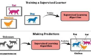 Supervised and Unsupervised Learning