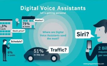 Voice Assistant Usage