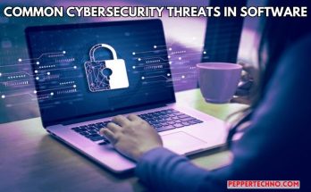 Cybersecurity Threats in Software