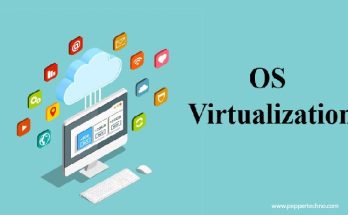 Virtualization Systems